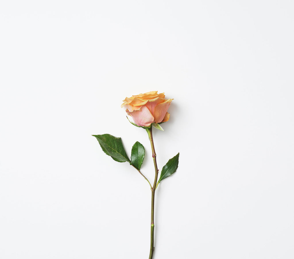 NYL Skincare - Vegan, Natural, Organic, Gluten-Free, Cruelty-Free.